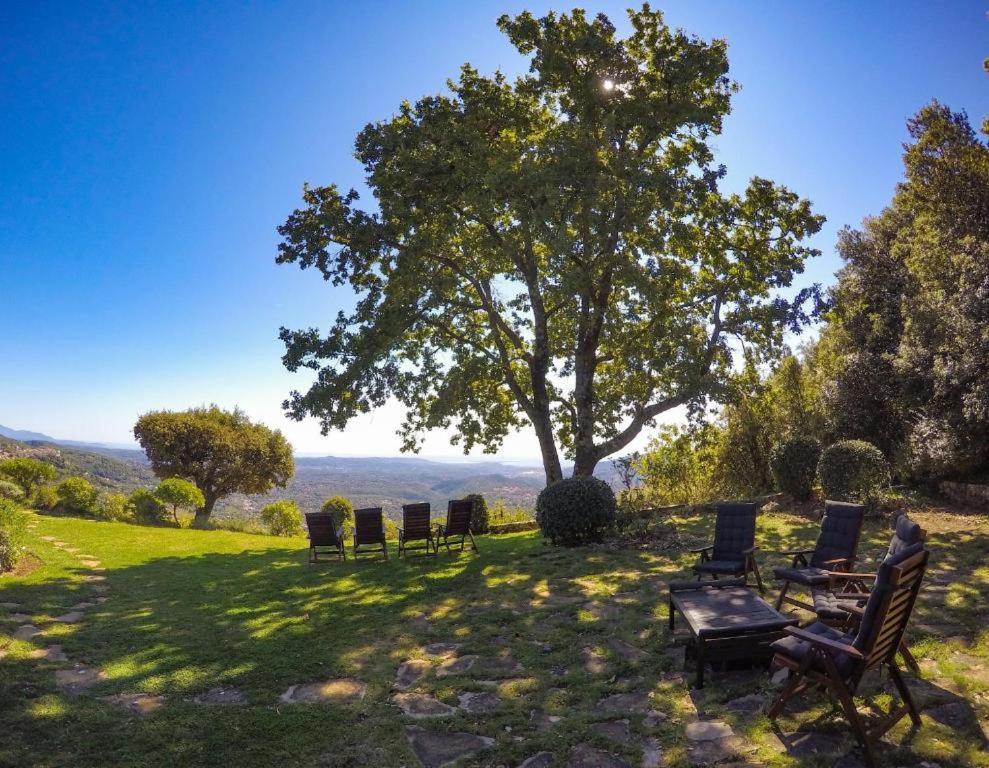 Domaine Du Bois D'Amont Apartman Cabris Kültér fotó